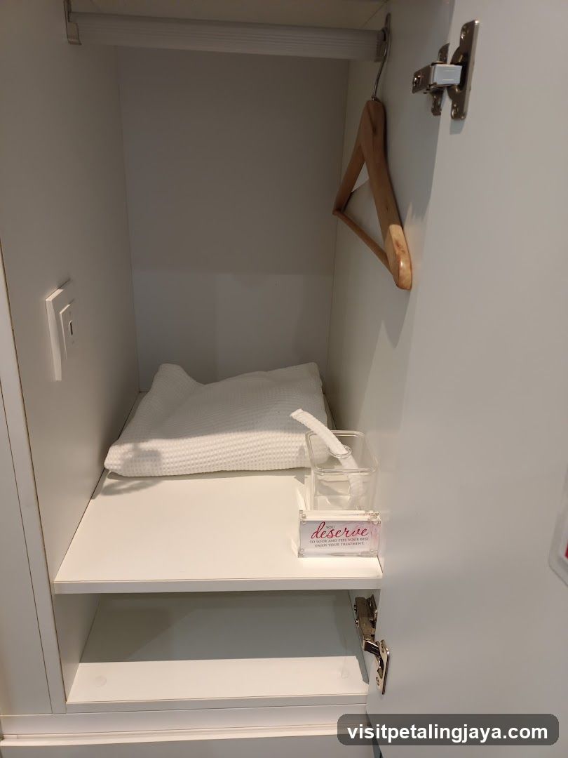 Closet Interior with Pillow and Tissue Box