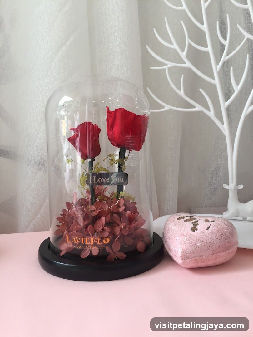Preserved Roses Display