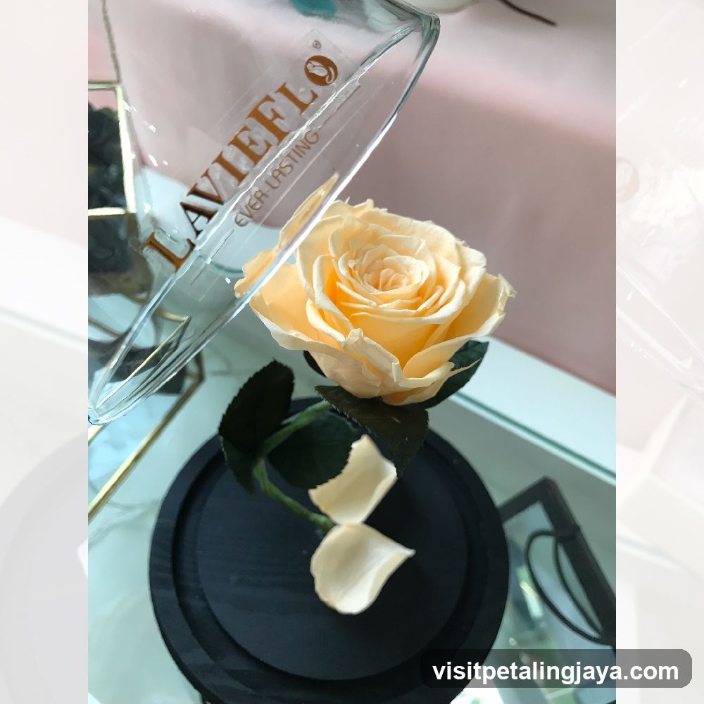 Preserved Rose Display