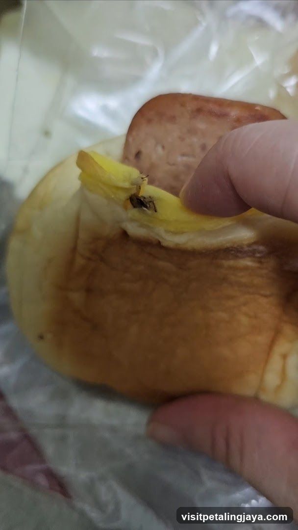 Food with Insect