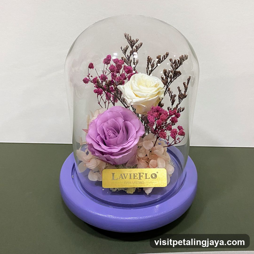 Lavieflo Everlasting Flower Display