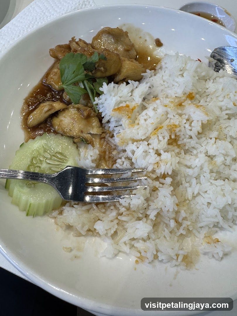 Chicken Rice Plate