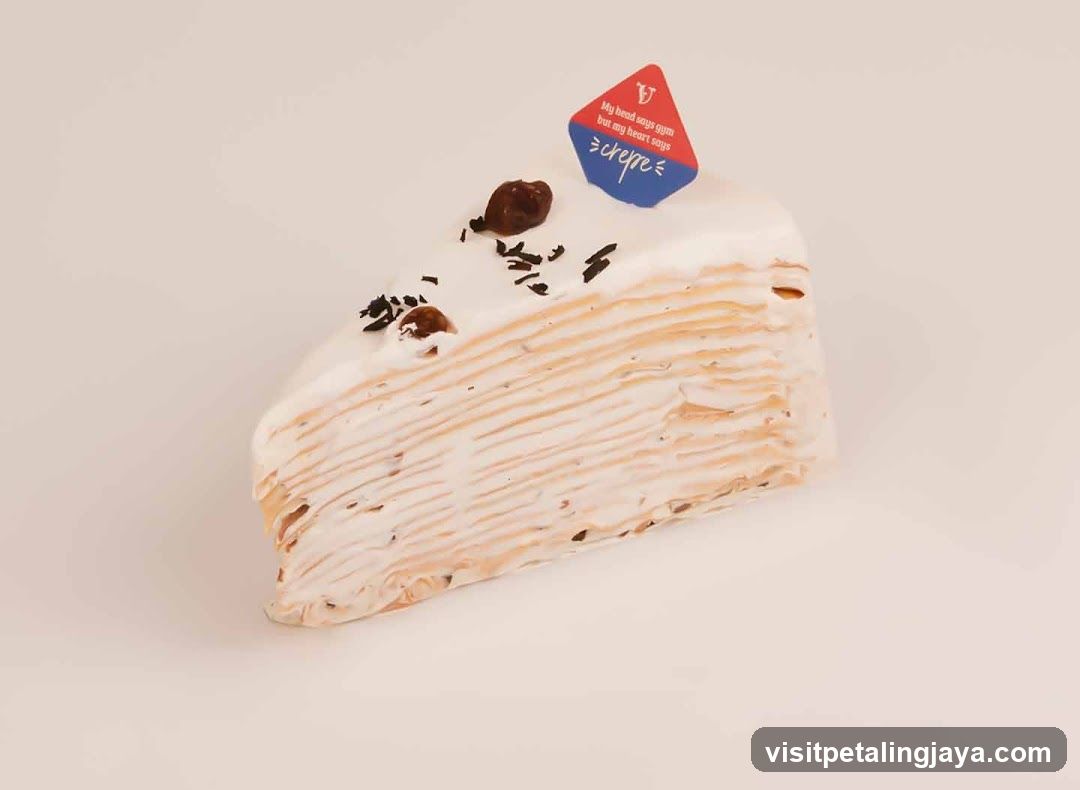 Cake Slice with Chocolate Topping