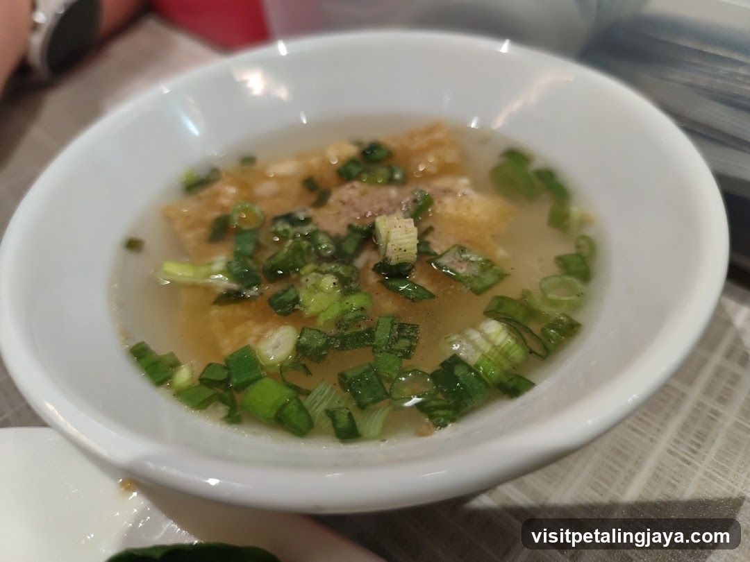 Bowl of Soup with Green Onions