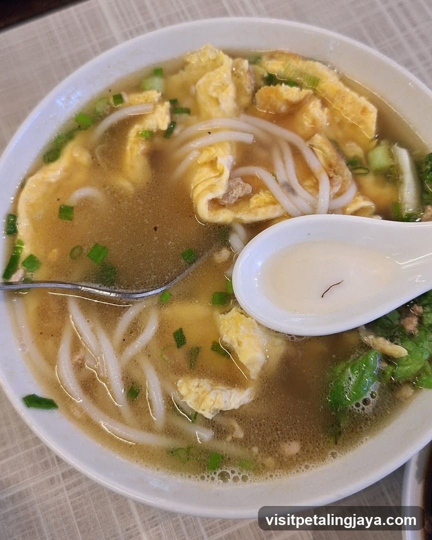 Bowl of noodle soup with egg and green onions