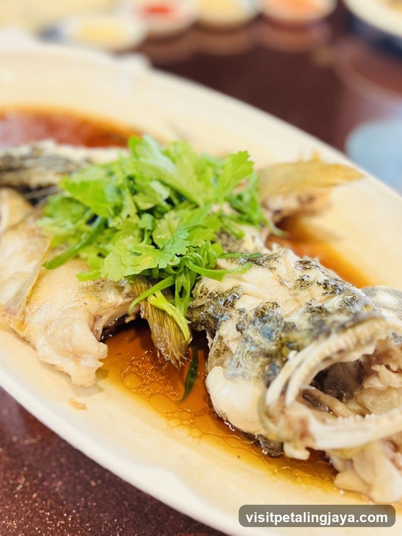 Steamed Fish with Cilantro