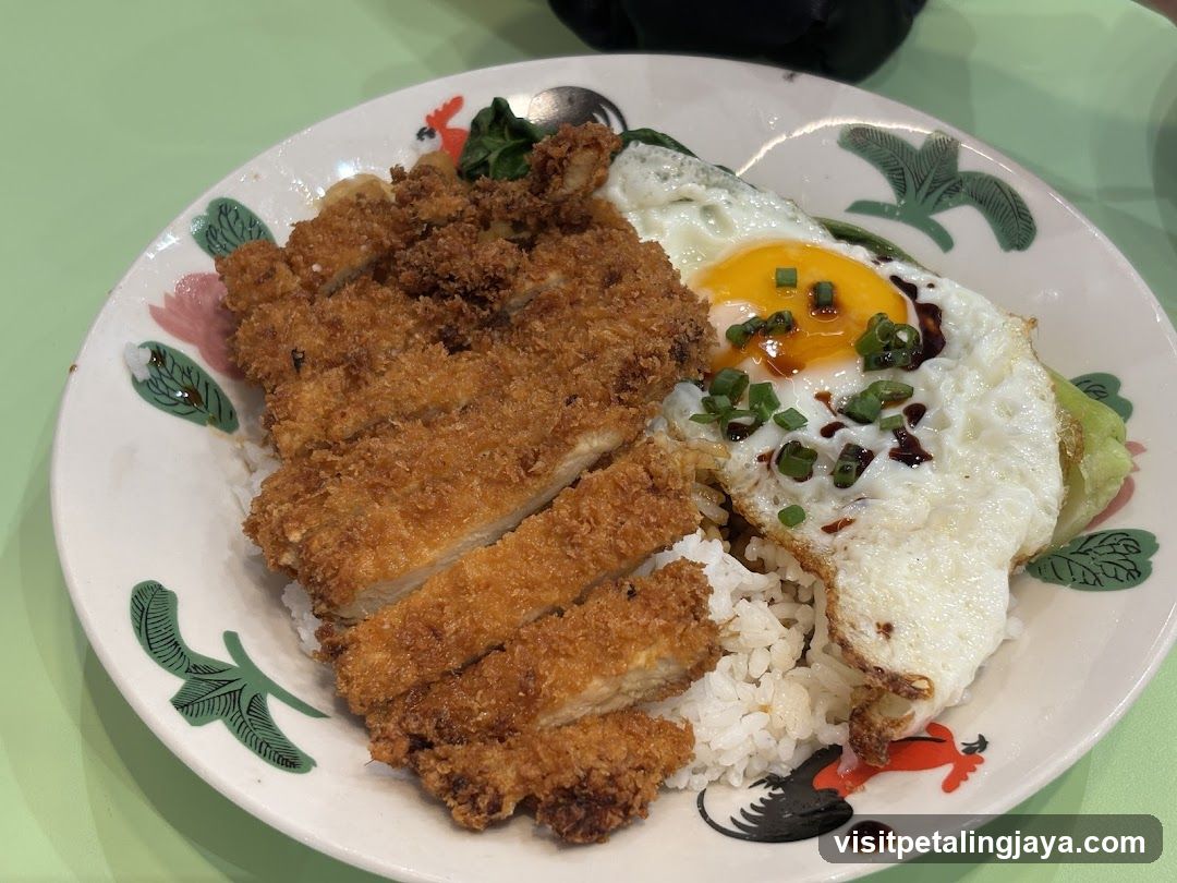 Katsu Fried Rice Bowl