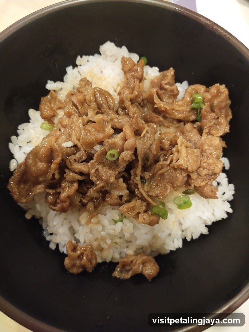 Bowl of Rice with Meat and Green Onions