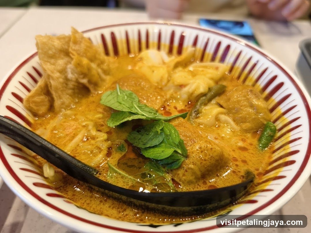 Curry Noodle Bowl with Mint Garnish