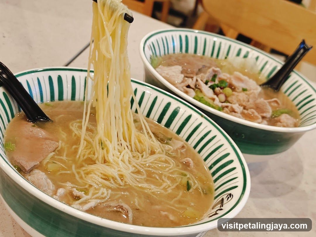 Noodle Soup Bowls
