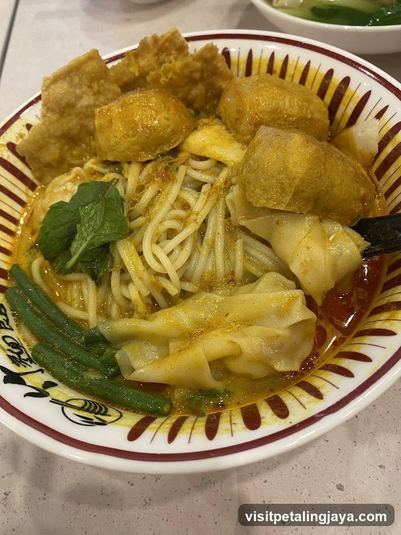 Curry Noodle Bowl with Wontons and Tofu Puffs