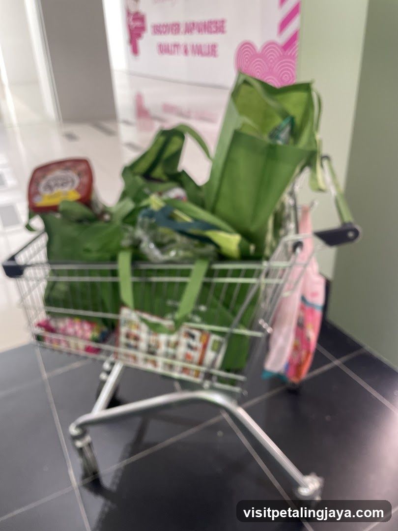 Shopping Cart with Green Bags