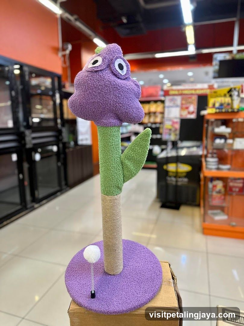 Purple Flower Cat Scratcher in Store