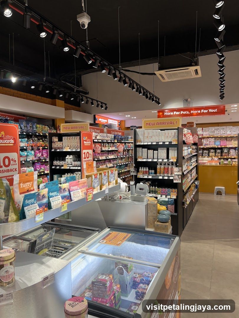 Pet Store Interior
