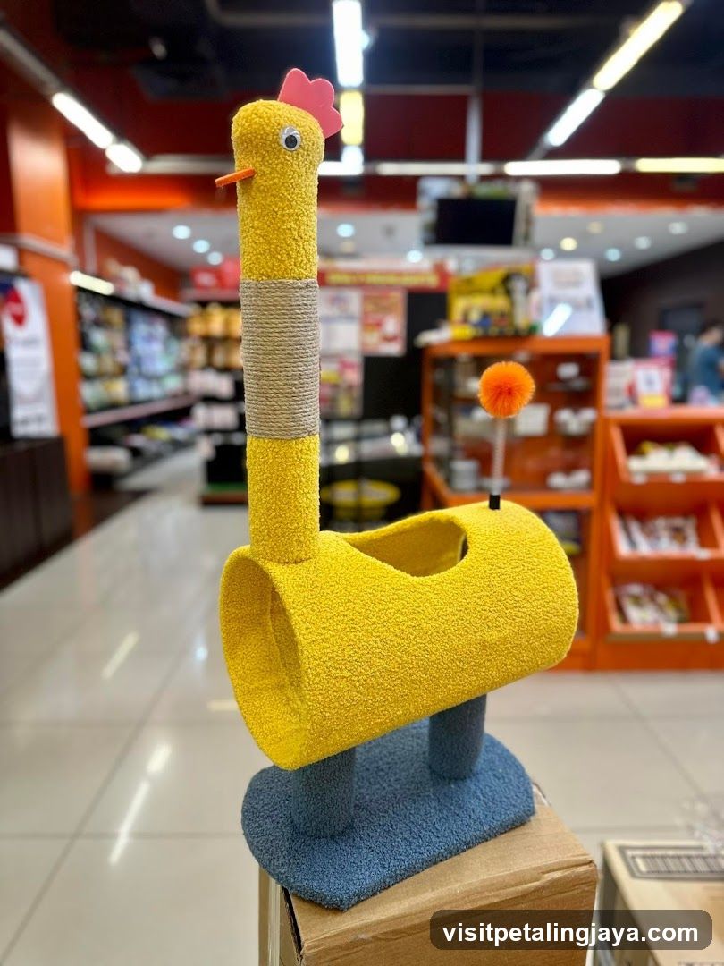 Yellow Chicken Cat Scratcher in Store