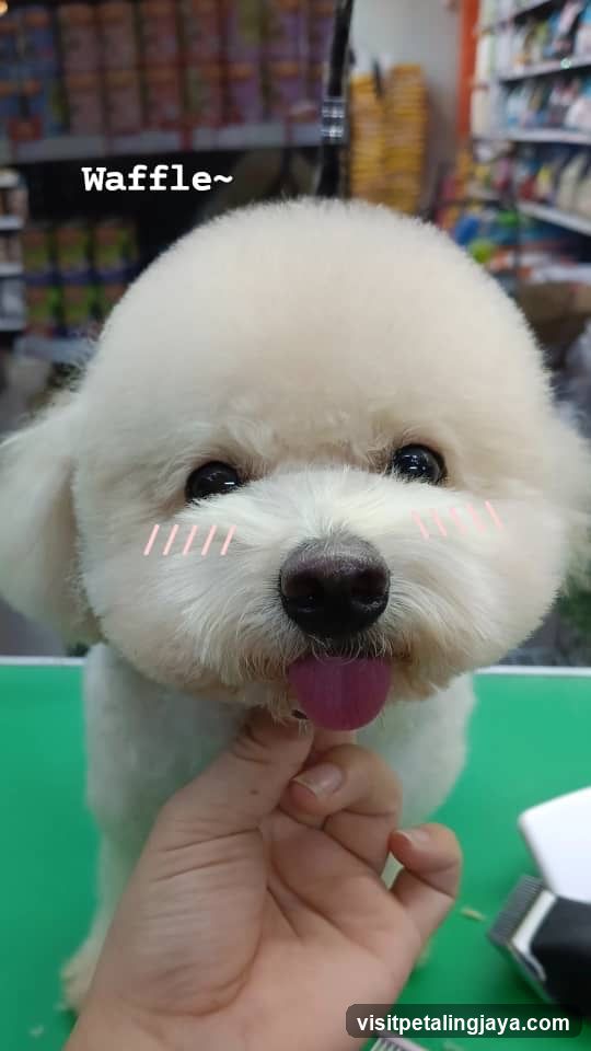 Waffle~