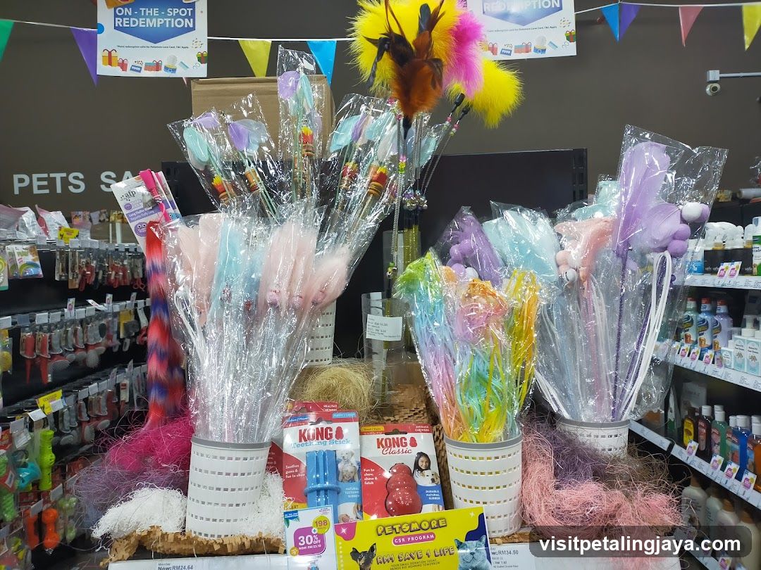 Pet Store Interior Display