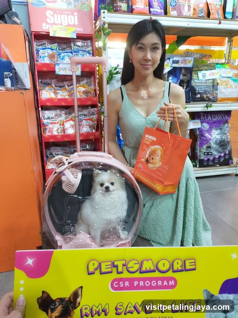 Pet Shop Interior with Shopping Bag and Pet Carrier