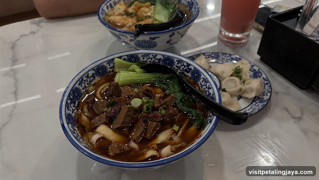 Bowl of Beef Noodles with Dumplings