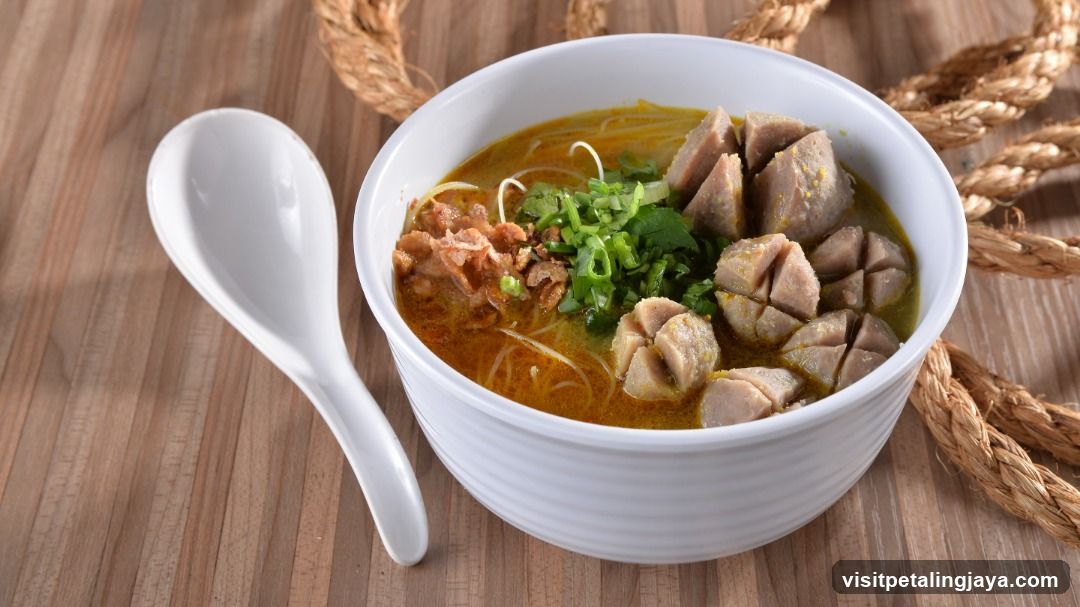Bowl of Noodle Soup with Meatballs and Garnish