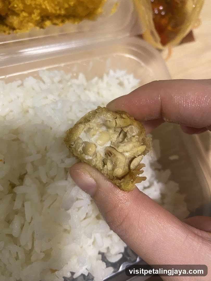 Fried Chicken with Rice