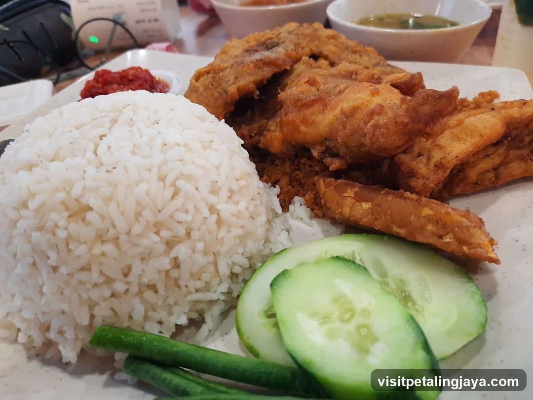 Fried Chicken and Rice Plate