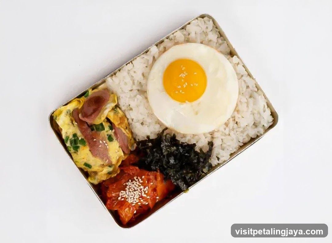 Bento Box with Fried Egg and Rice