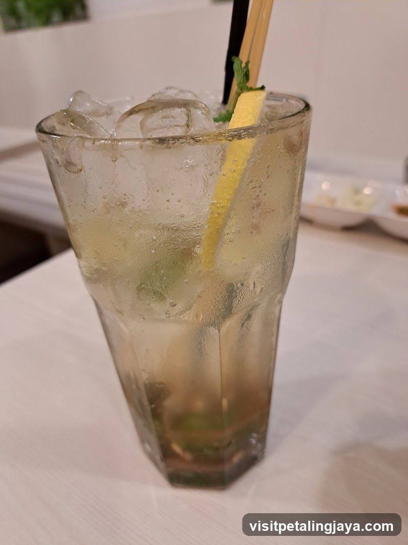Iced Drink with Garnish