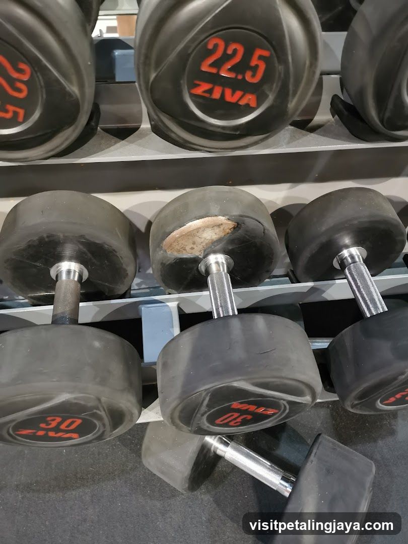 Dumbbells on a rack