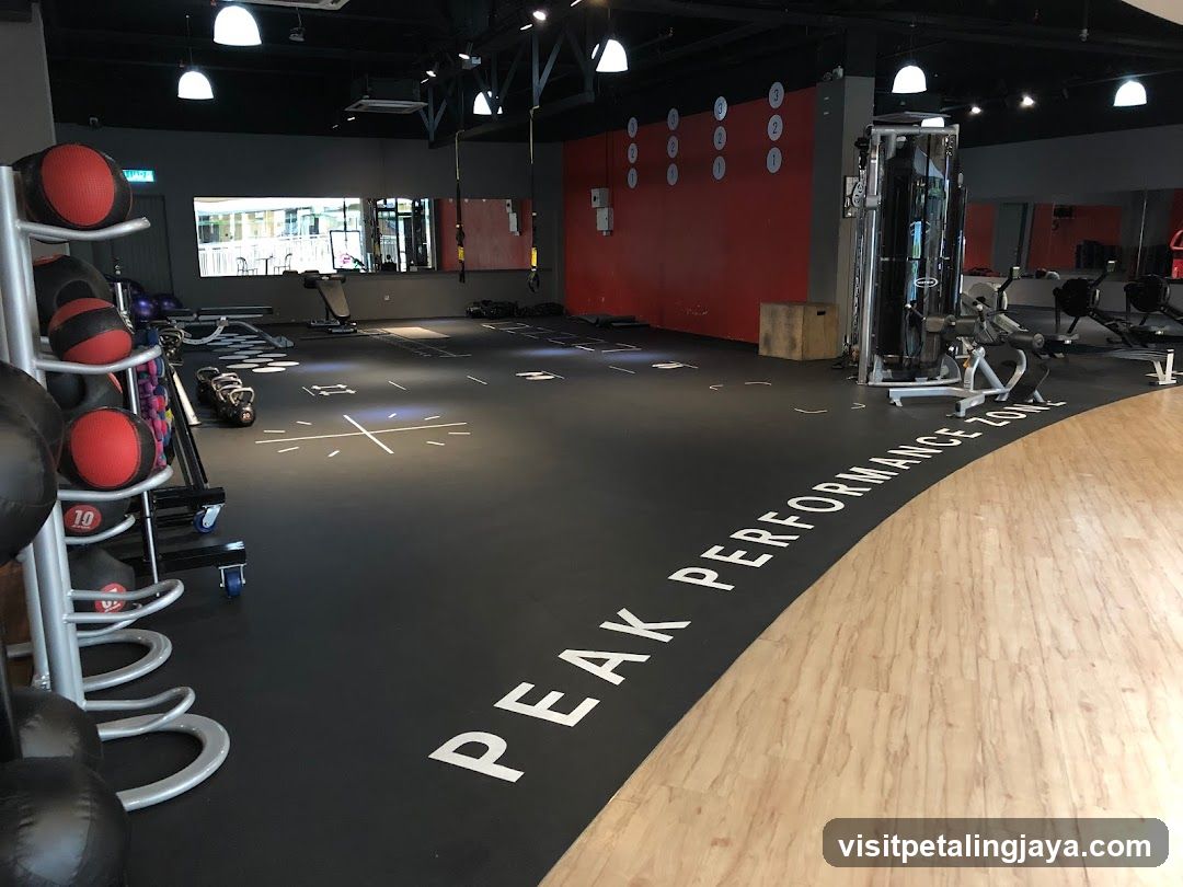 Gym Interior with Equipment and Flooring