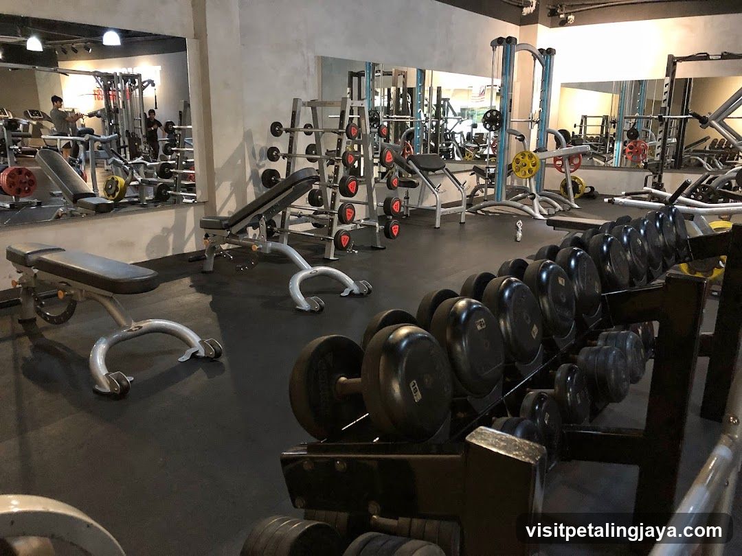 Gym Interior with Equipment