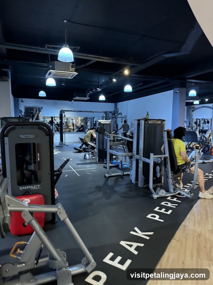 Gym Interior with Equipment and Members Working Out