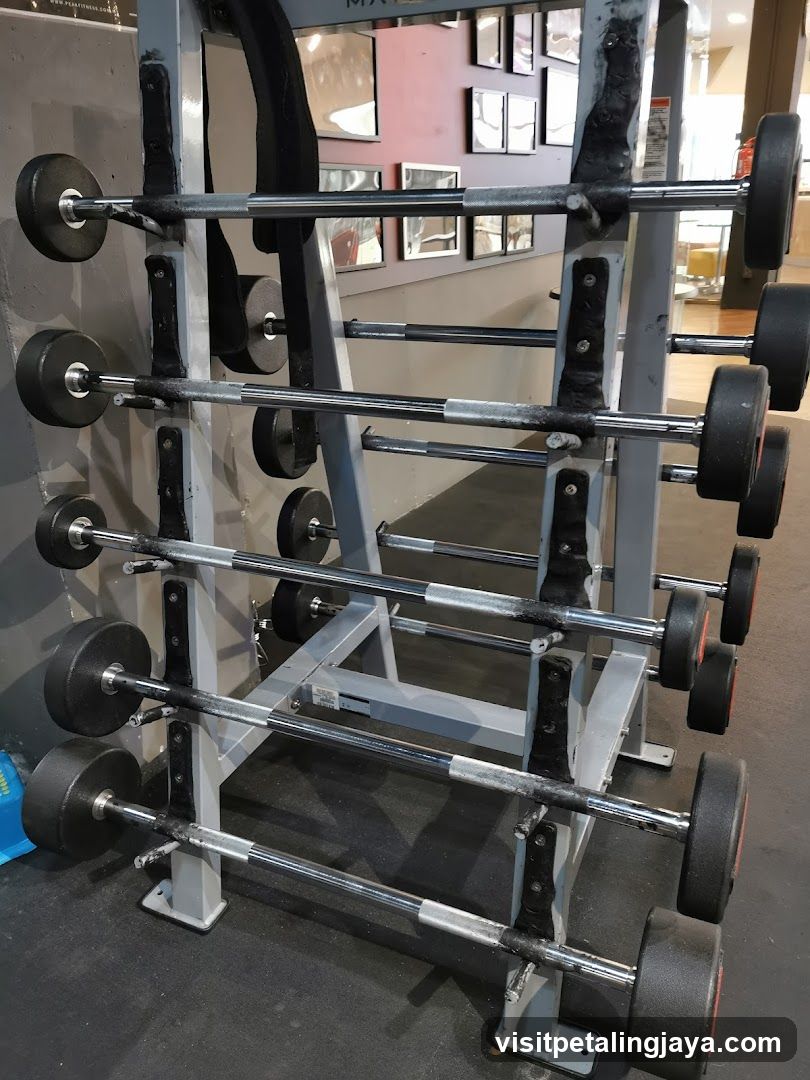 Gym Equipment Rack