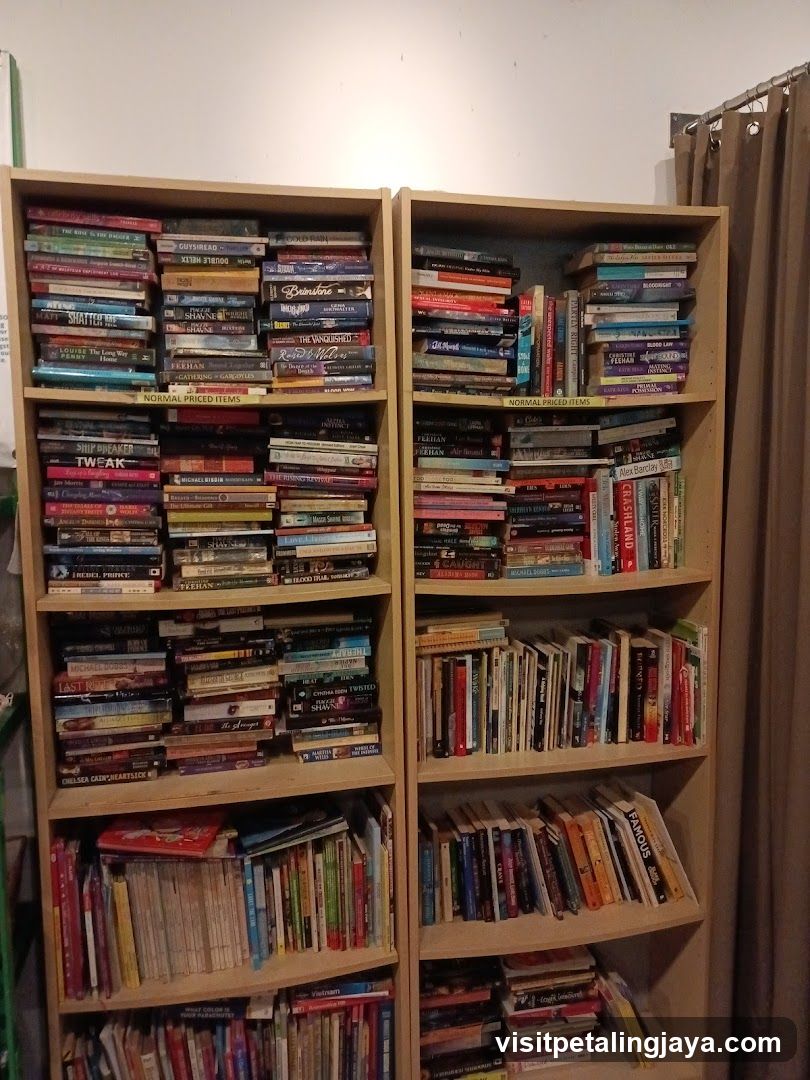 Bookshelves with books