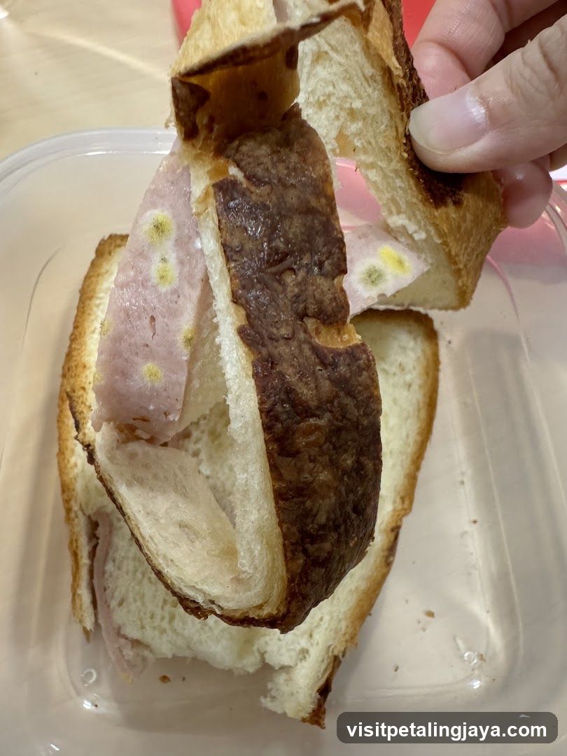 Sandwich with moldy bread