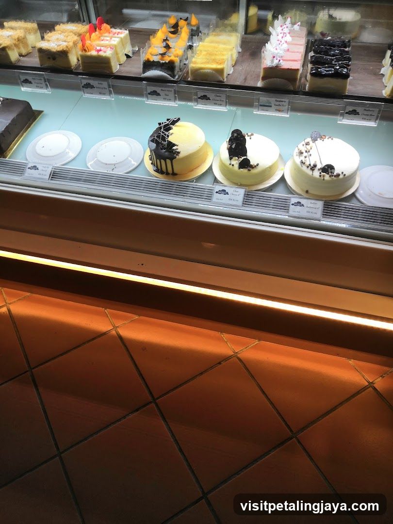 Cake Display Case