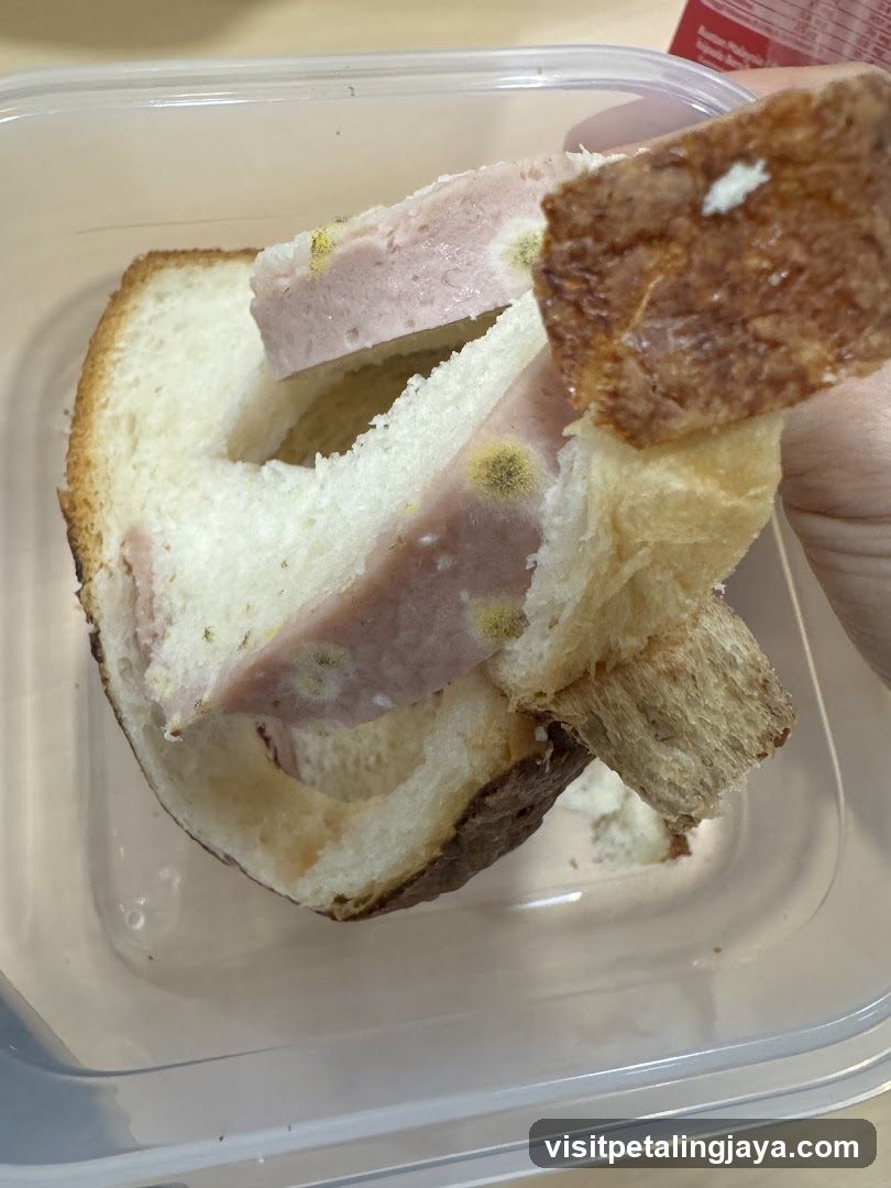 Moldy Sandwich in Container