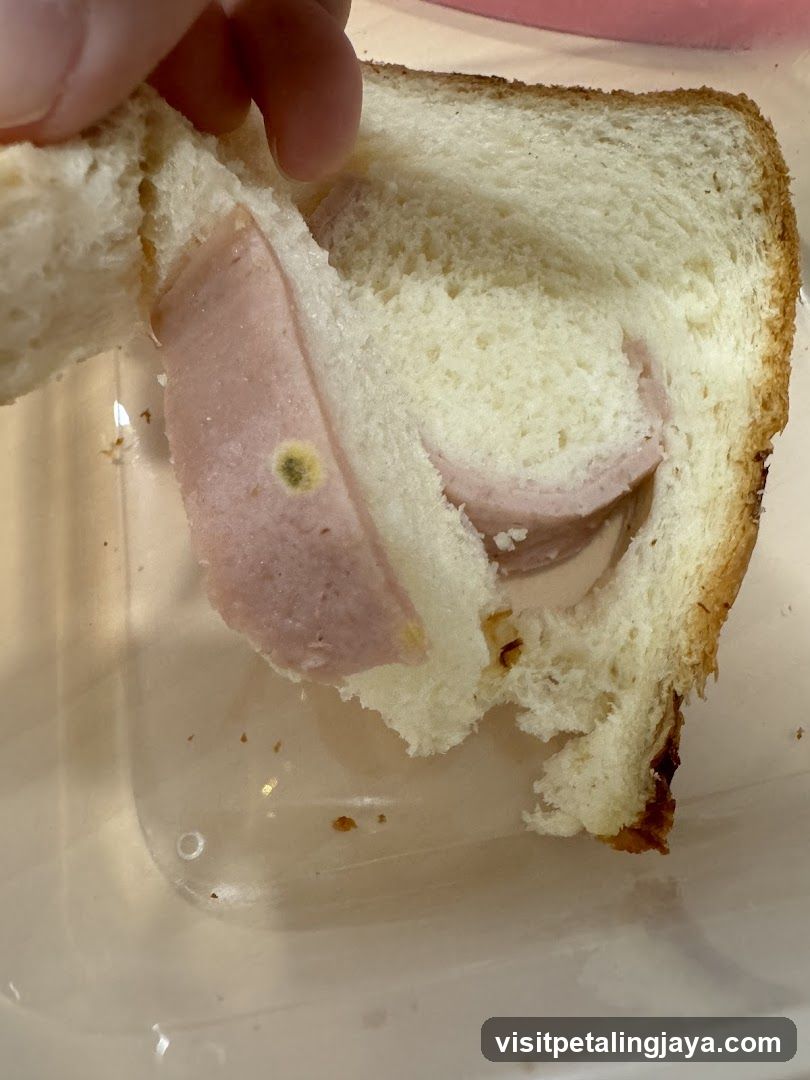 Moldy Sandwich