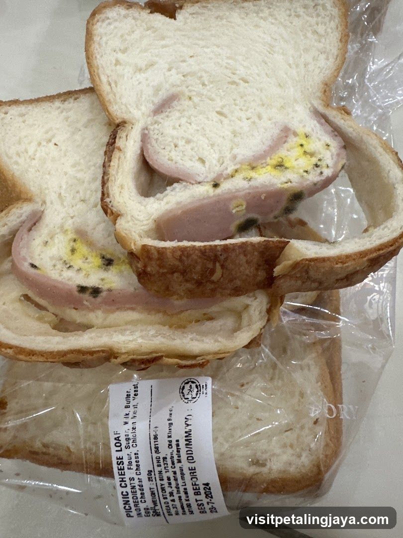 Packaged Bread with Ham and Cheese