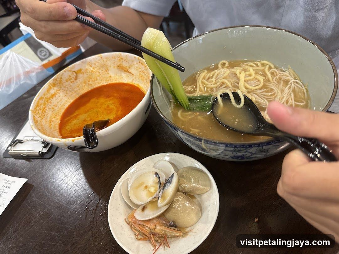 NoodleKing House