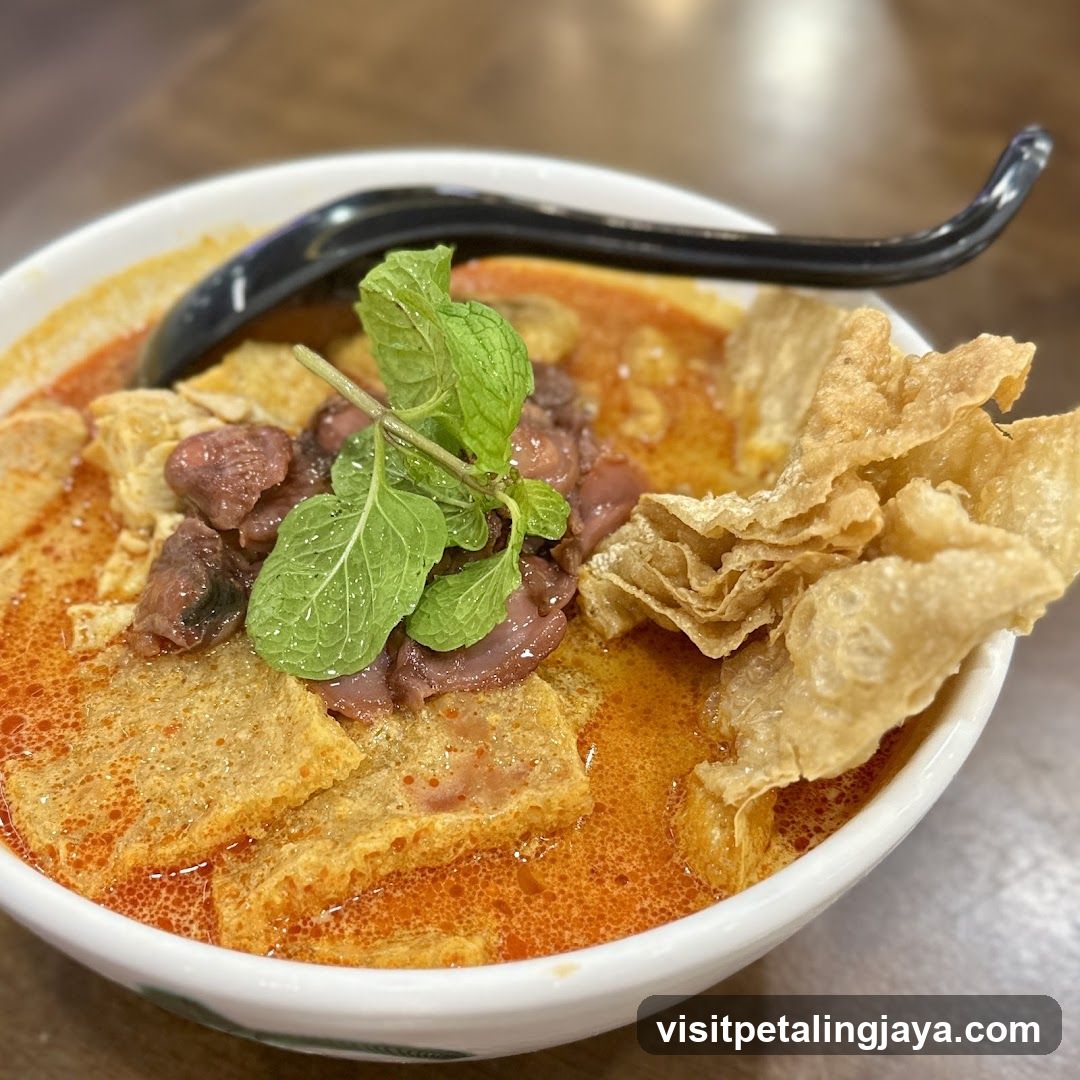 Noodle Soup with Tofu and Crispy Skin