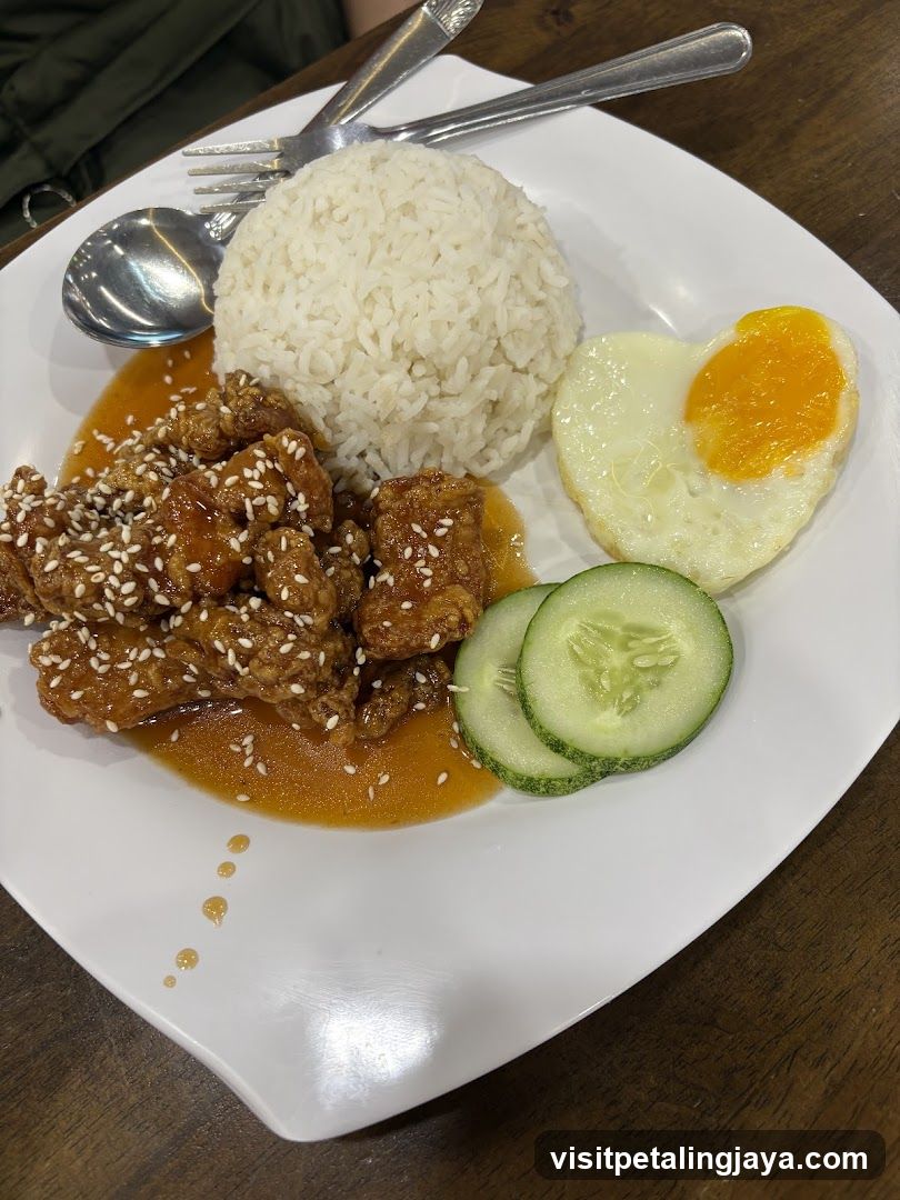 Fried Chicken with Rice and Egg