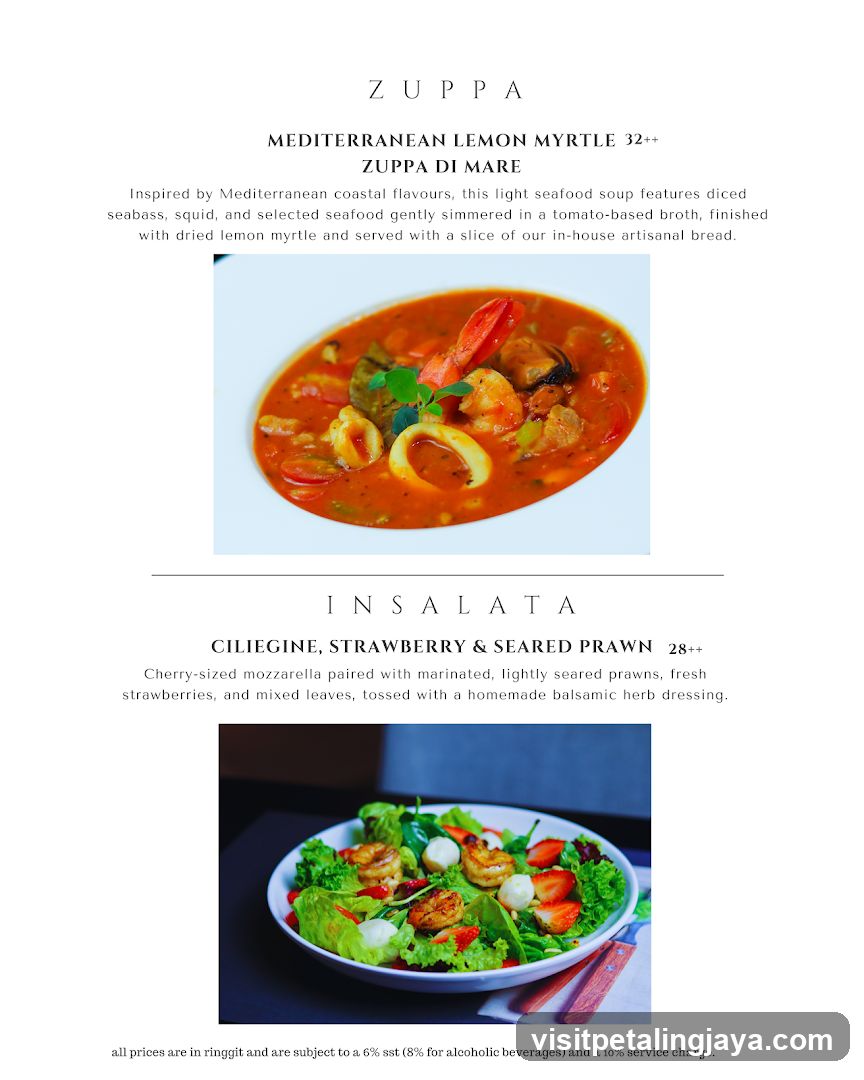 ZUPPA & INSALATA Menu Page