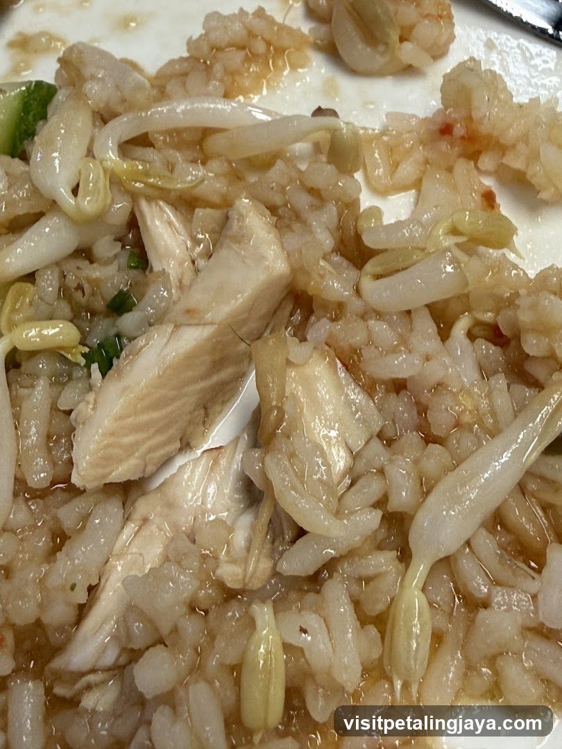 Chicken Fried Rice with Bean Sprouts