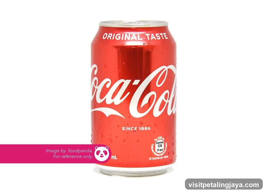 Coca-Cola Can
