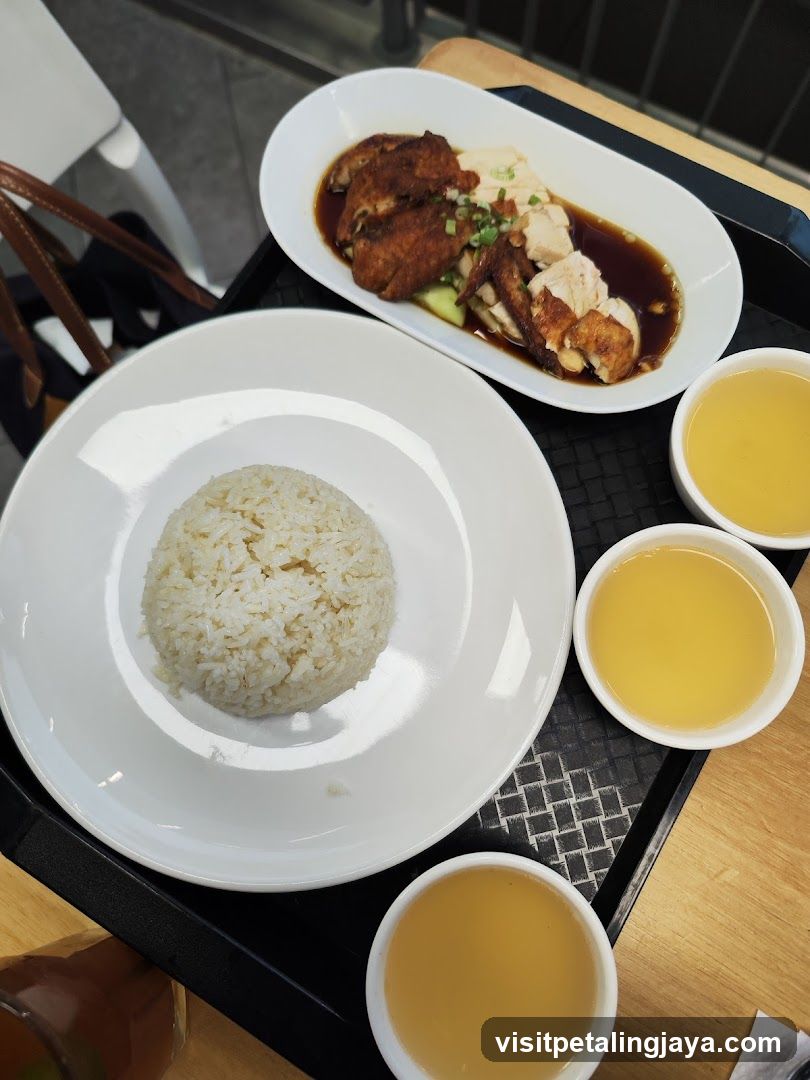 Food Tray with Rice and Dishes