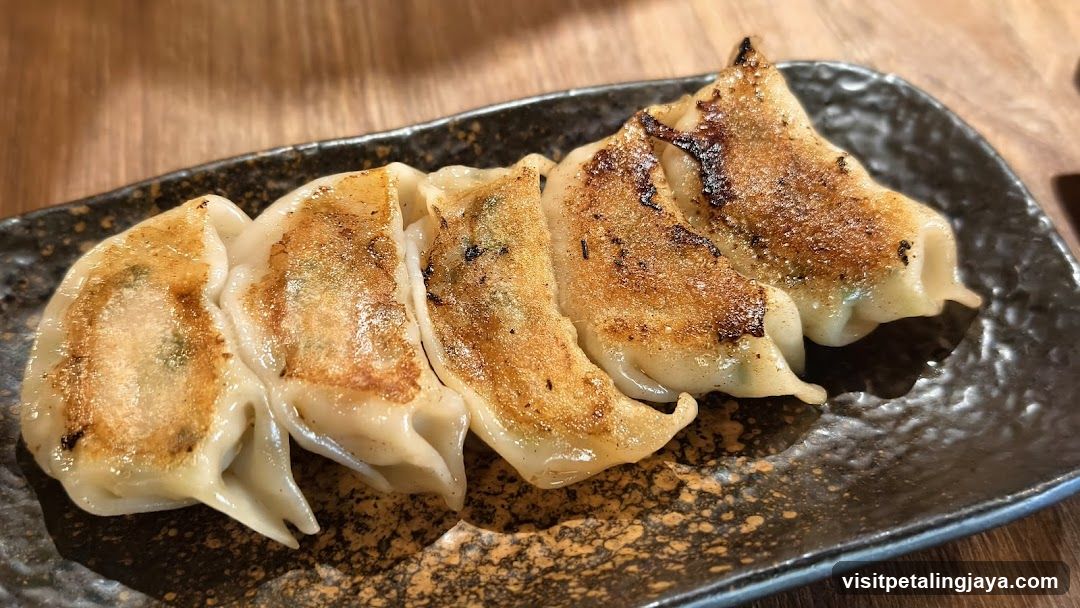 Pan-Fried Dumplings on a Dark Plate
