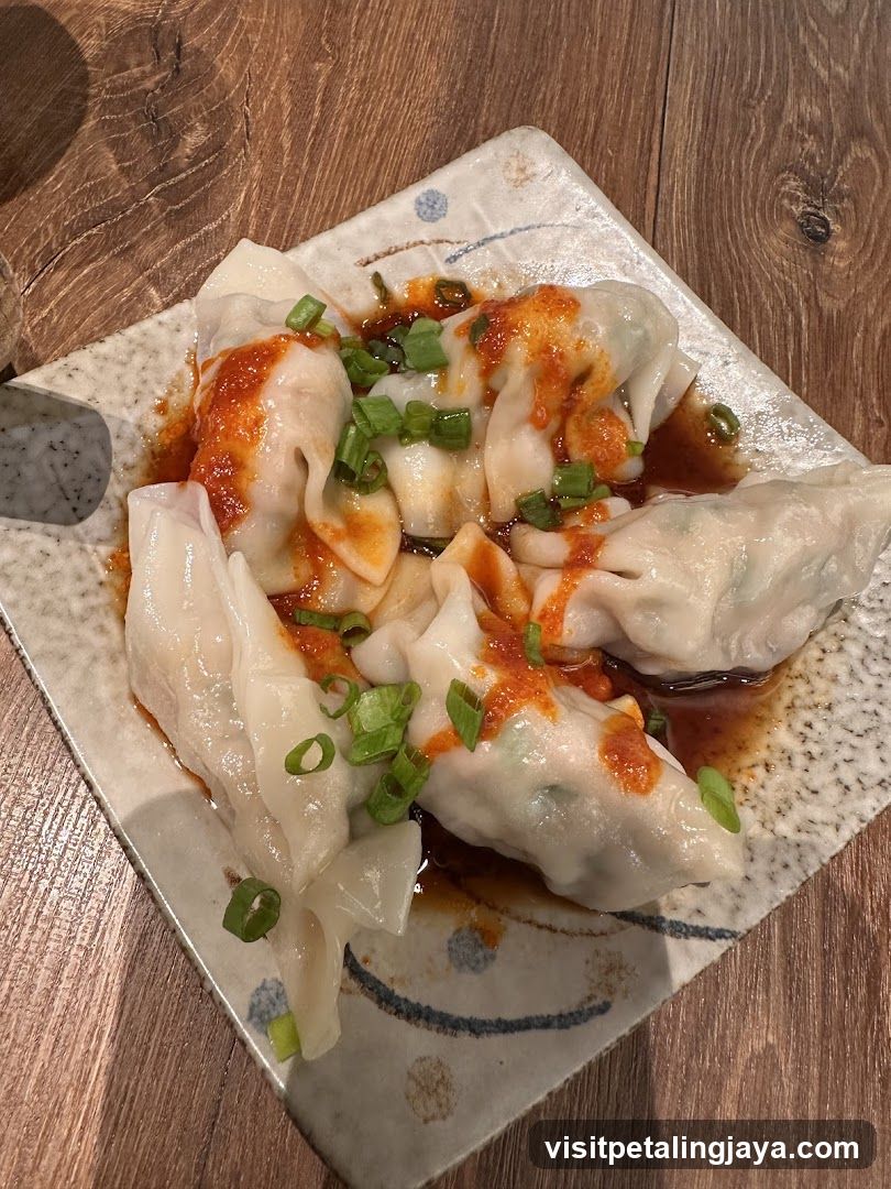 Dumplings with Sauce and Scallions