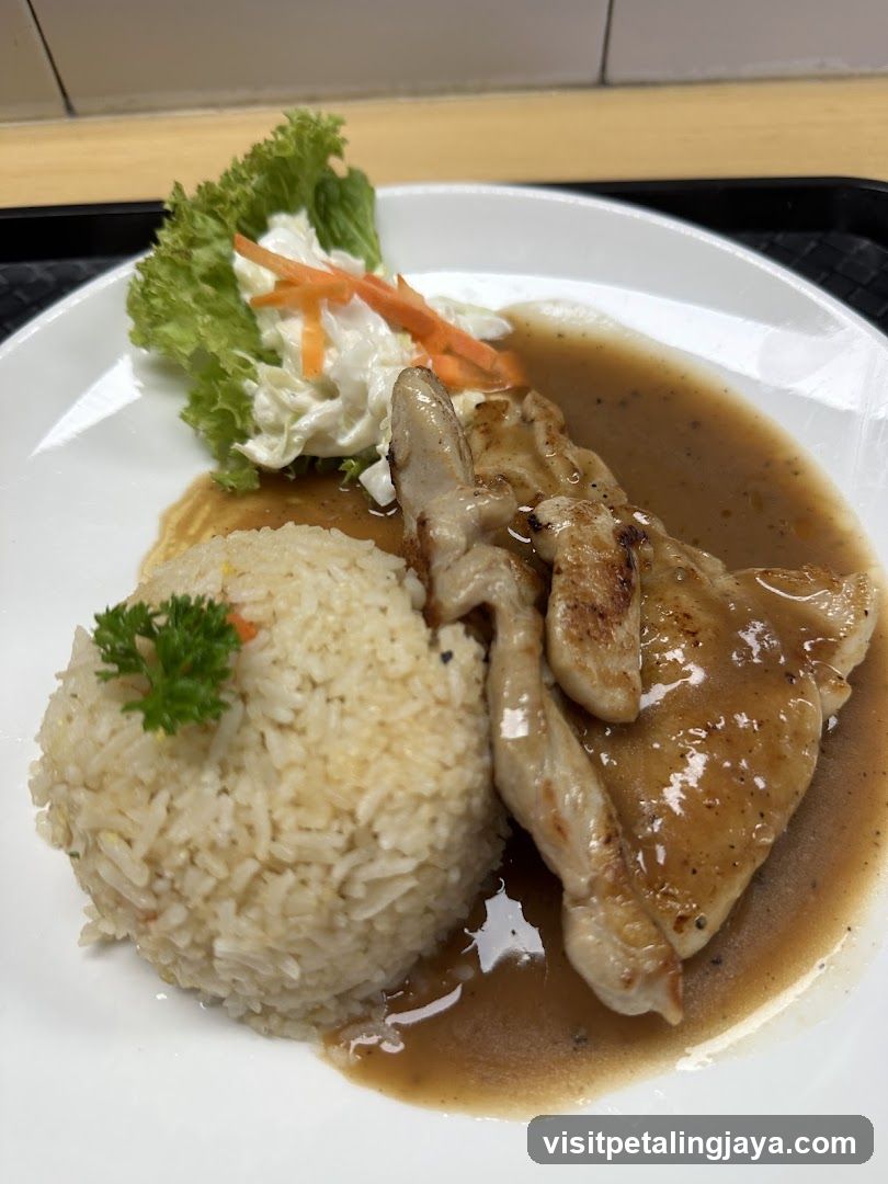 Chicken with Rice and Salad