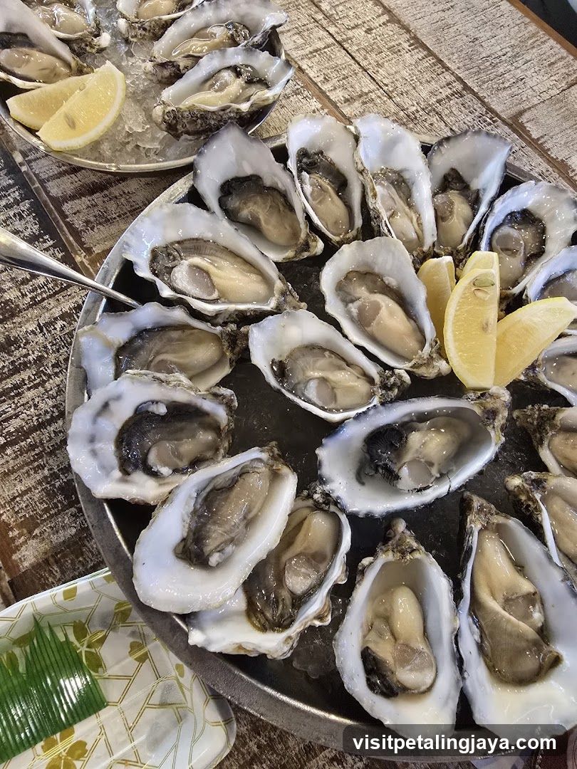 Oysters on the Half Shell